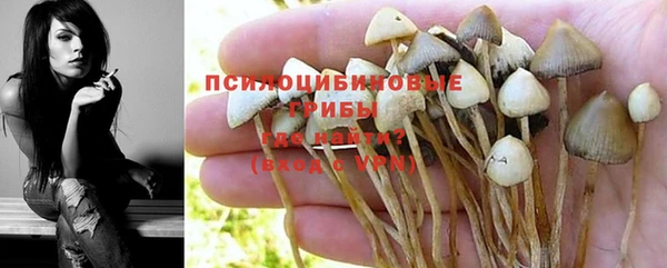 соль ск Арсеньев