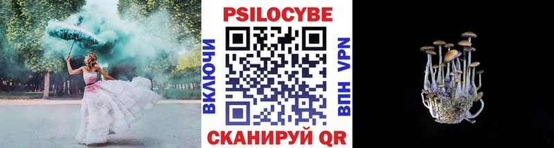 Псилоцибиновые грибы Psilocybe  блэк спрут ссылка  Магадан 